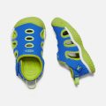 KEEN STINGRAY INF brillian blue/chartreuse