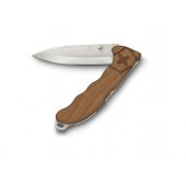 Victorinox Evoke wood brown + DÁREK DLE VÝBĚRU!